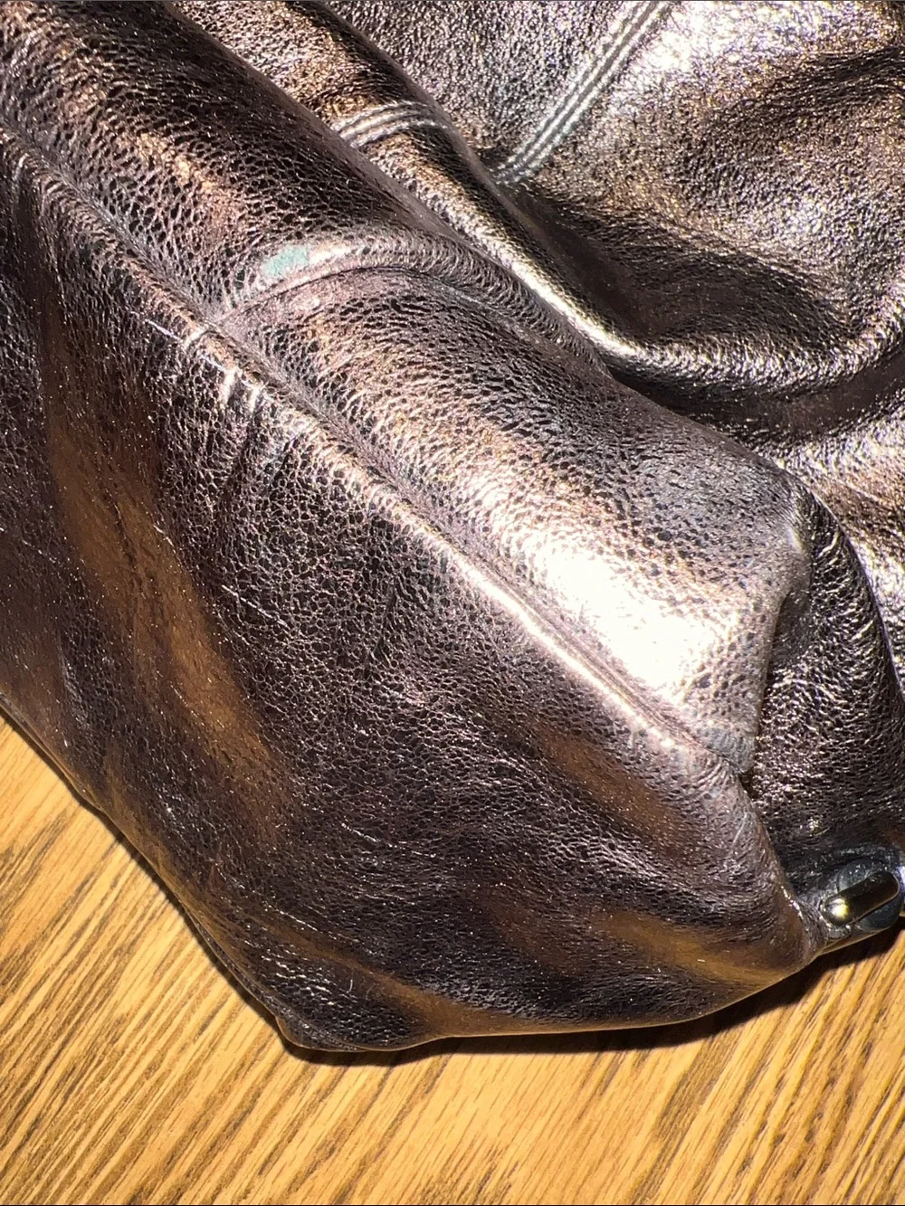 Coach Metallic Brooke Leather Pewter Hobo Bag